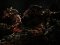 Gears of War 2 Thumb